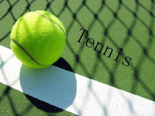 早建立的期 早建立的期